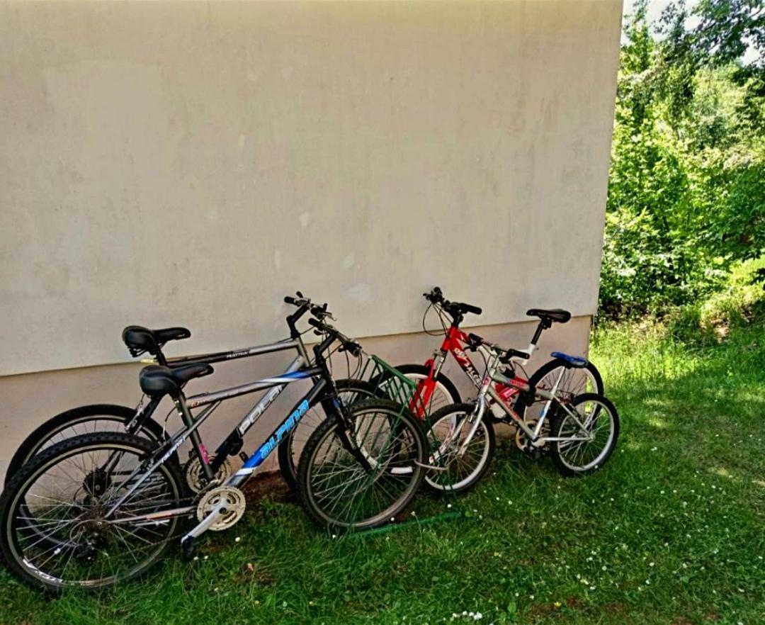 Villa Lovcen4Me Cetinje Esterno foto