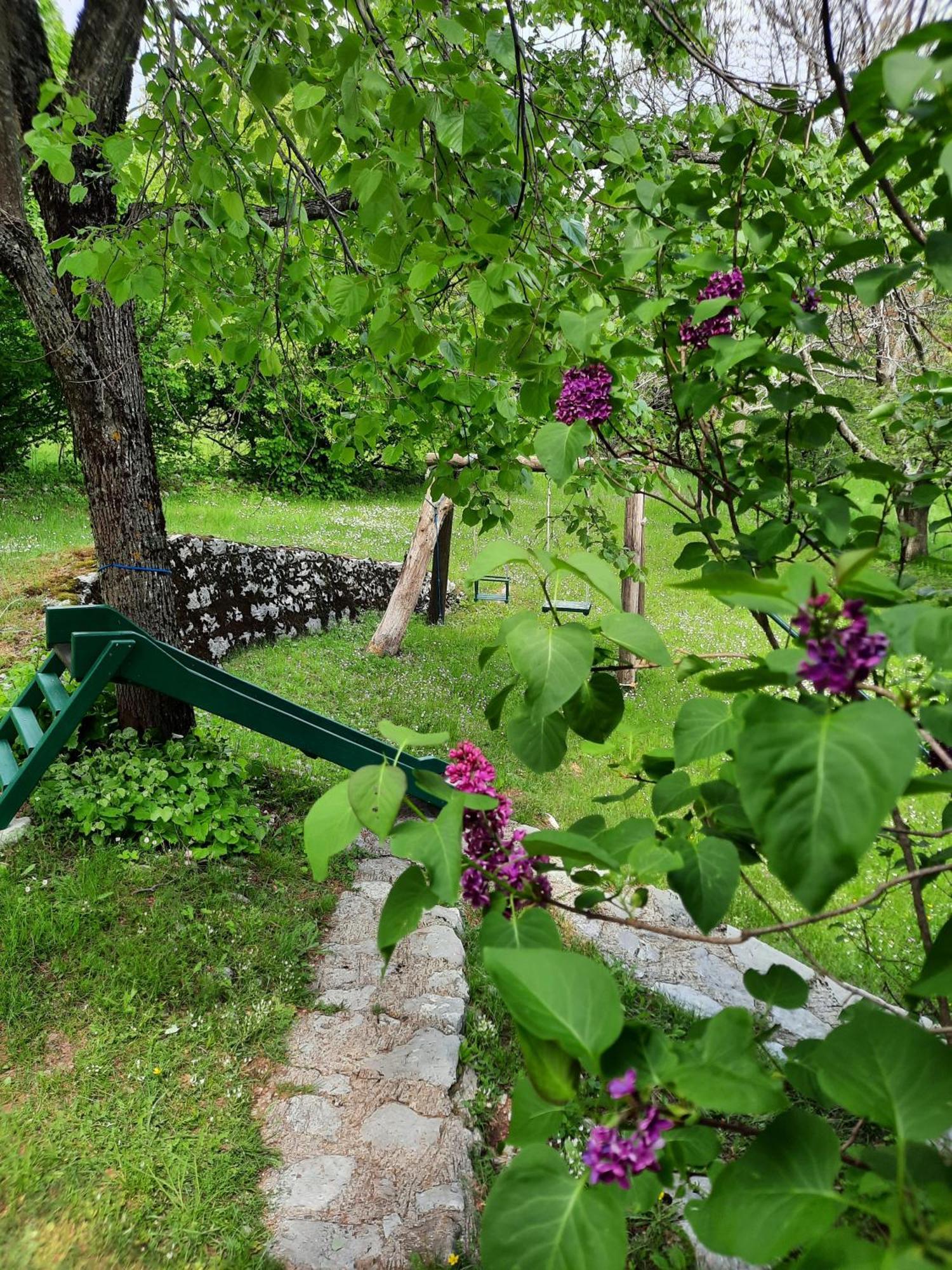 Villa Lovcen4Me Cetinje Esterno foto